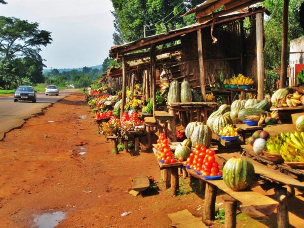Nairobi To Victoria Falls overland tour, 53 days