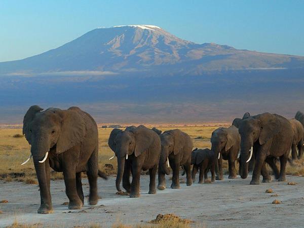 Kenya and Tanzania bespoke vacation