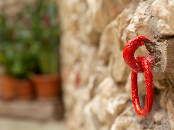Yoga teacher training courses in Spain