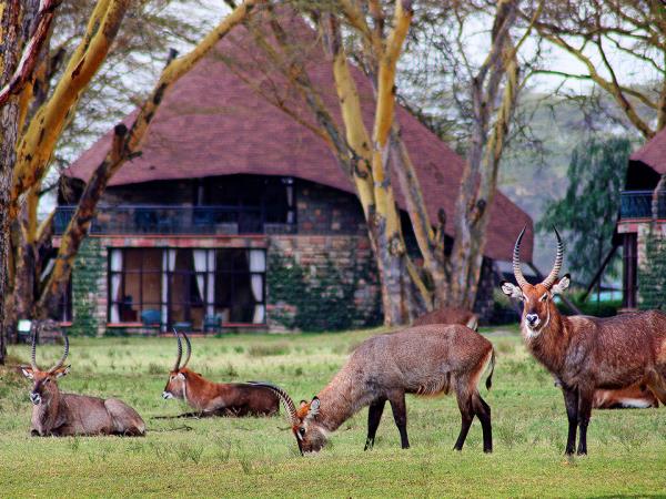 Great Migration in Kenya with Zanzibar extension
