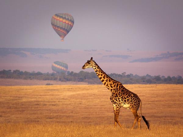 Luxury Kenya safari