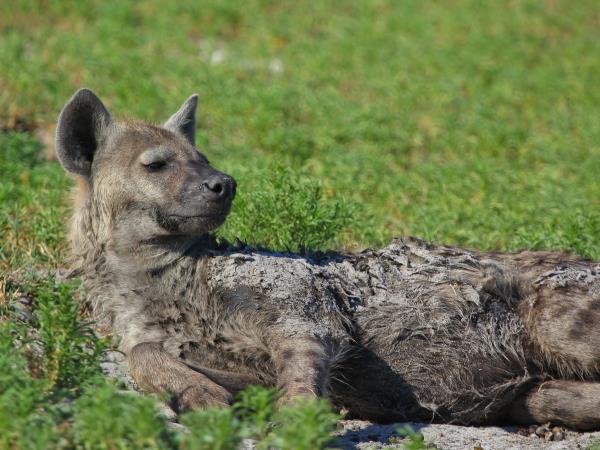 Western Zambia wilderness expedition