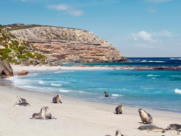 South Australia self drive tour, food & culture