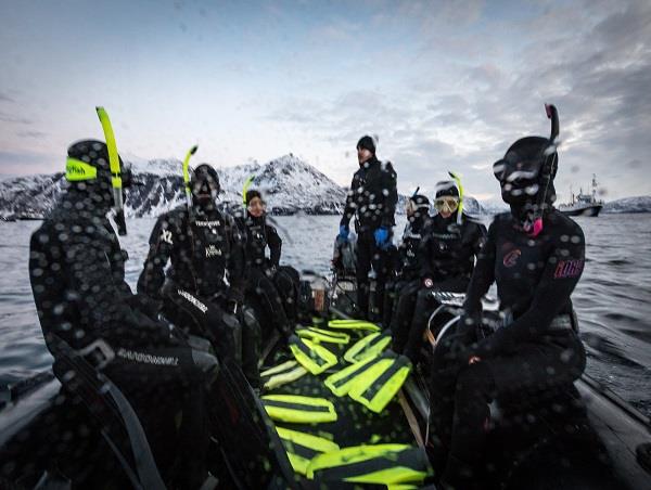 Swim with orcas in Norway, Northern Lights