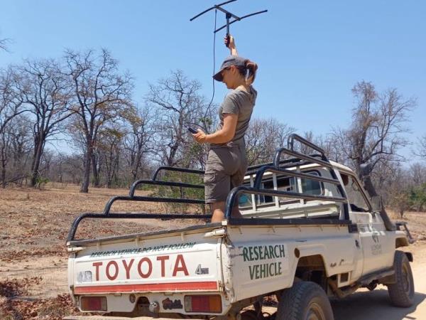 Malawi conservation research experience