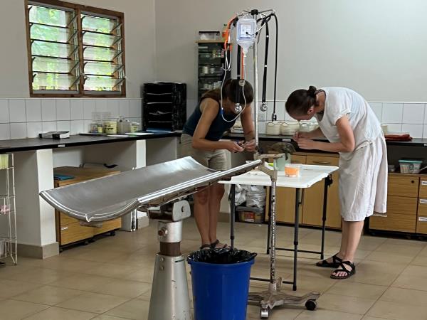 Veterinary externship in Malawi