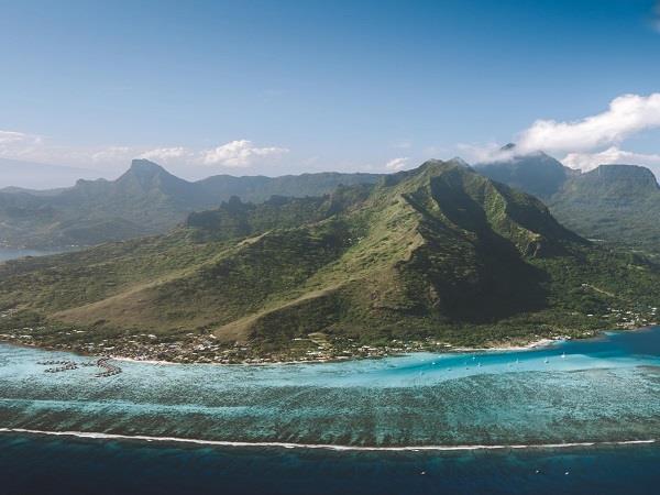 Whales and wildlife tour in Tahiti