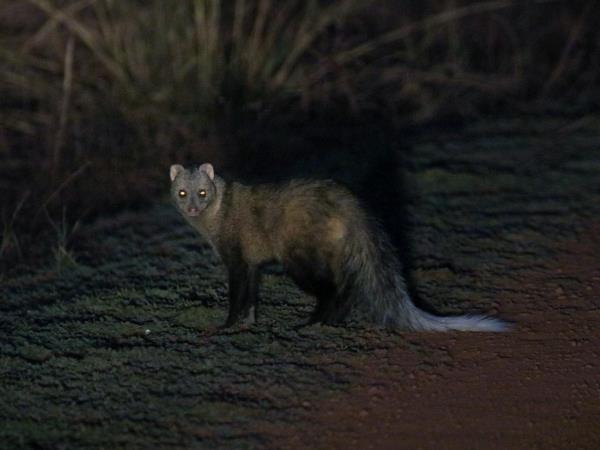 Nigeria wildlife vacation