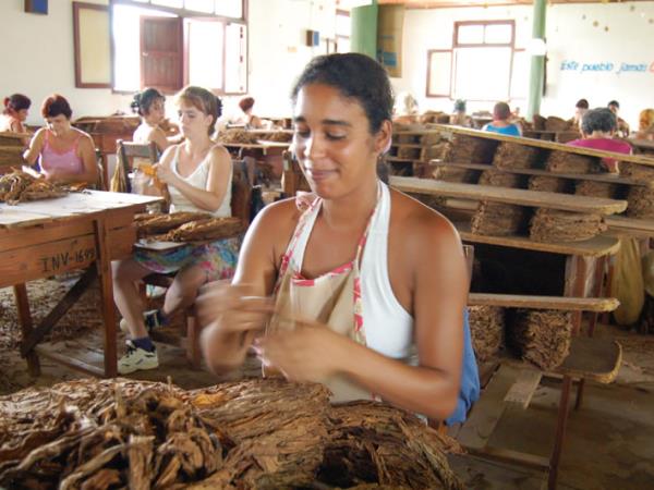Cuba small group tour with homestays