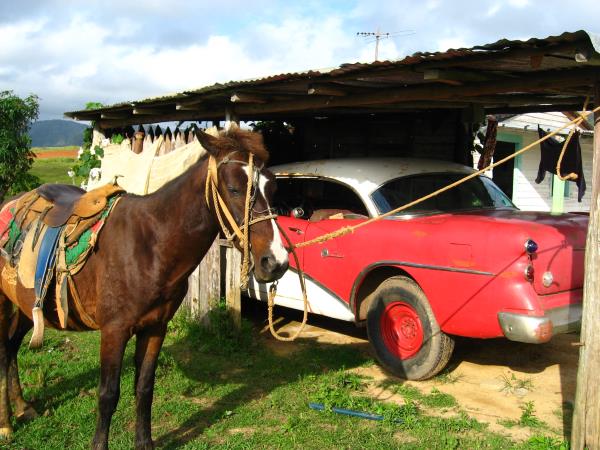 Cuba small group tour with homestays