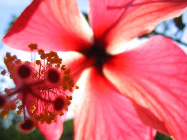 Cuba small group tour with homestays