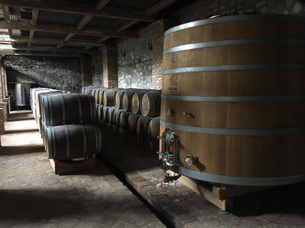 Georgia culture & wine tasting vacation