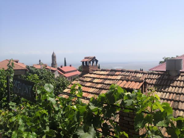 Georgia culture & wine tasting vacation