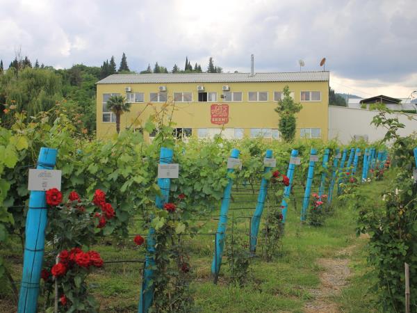 Georgia culture & wine tasting vacation