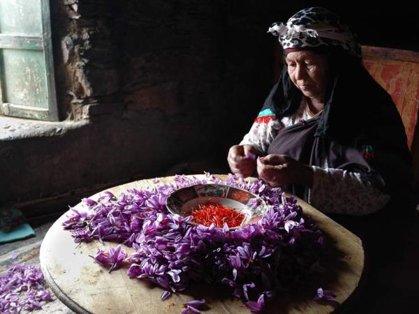 Morocco Berber cultural tour