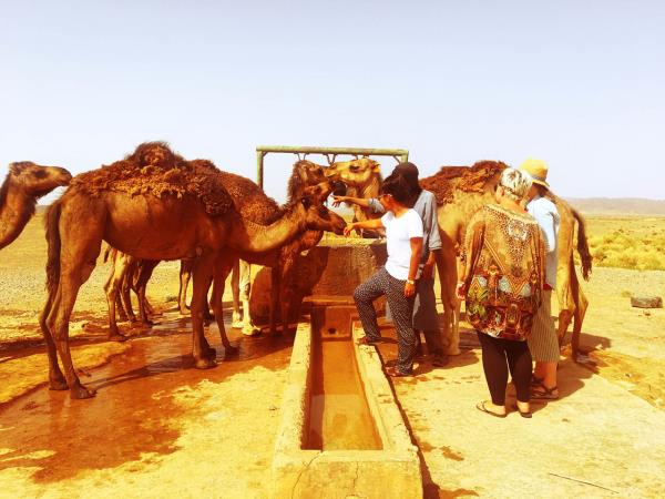 Morocco off the beaten track, tailor made
