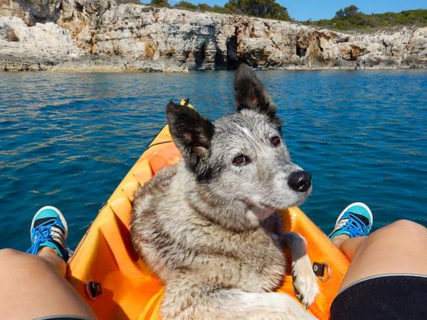 Croatia dog friendly vacation