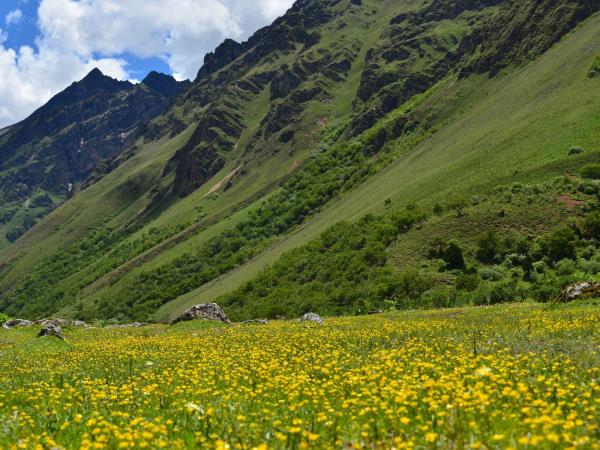 Laya Gasa trekking vacation in Bhutan