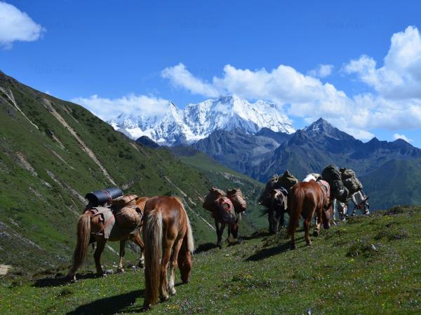 Laya Gasa trekking vacation in Bhutan