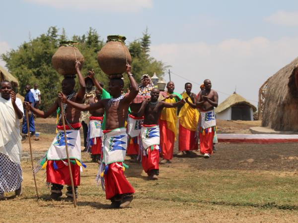 Rwanda small group primate safari