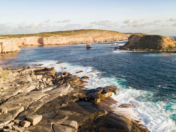 Eyre Peninsula & Flinders Ranges eco tour in South Australia