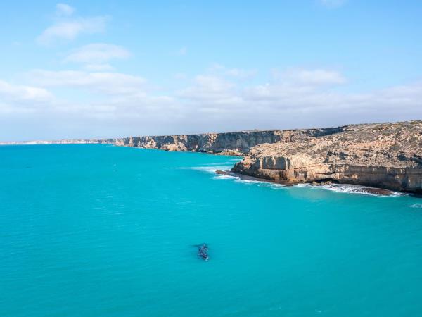 Whale watching tour in South Australia