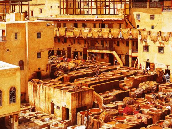 Essential Morocco small group cultural tour