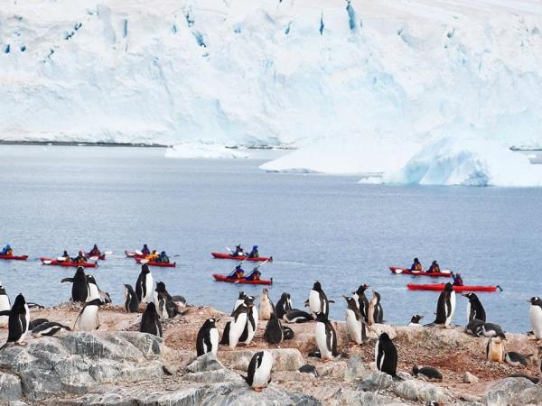 Classic Antarctica cruise & South Shetland Islands