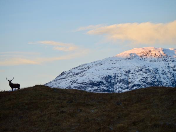 Highlands winter hiking vacation in Scotland