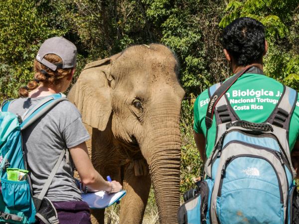 Volunteering with elephants in Thailand