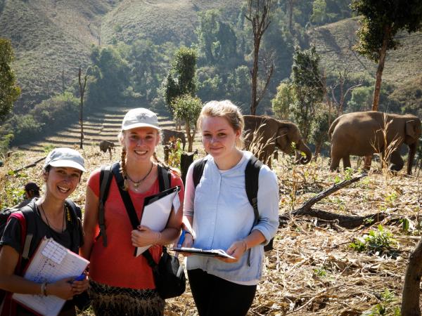 Volunteering with elephants in Thailand