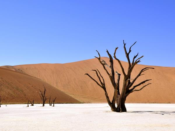 Namibia & Botswana safari adventure