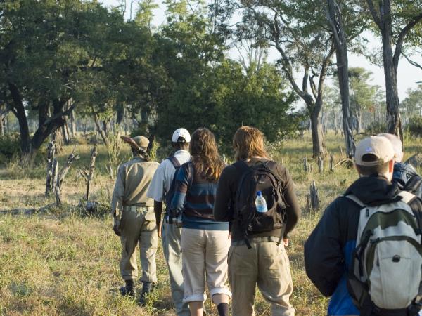 Big cat conservation safari, South Africa