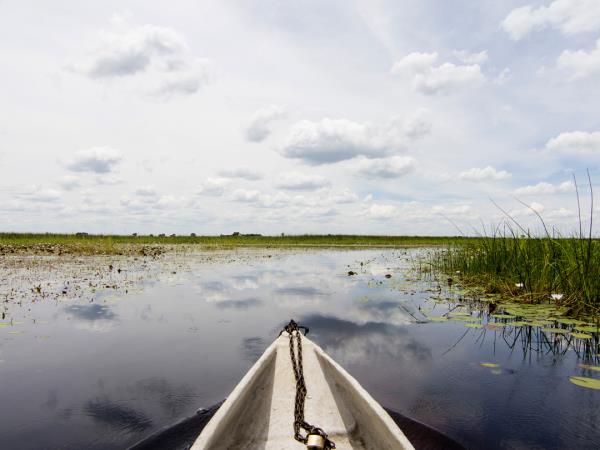 Botswana family safari vacation
