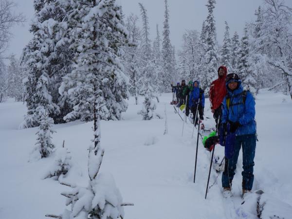 Skiing and winter camping in Finnish Lapland vacation