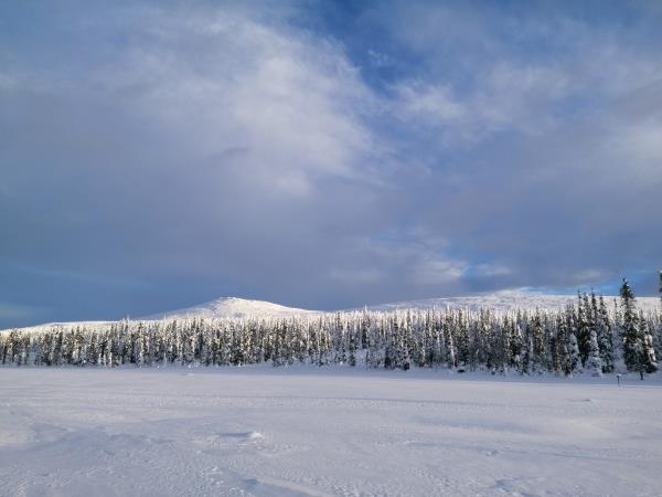 Skiing and winter camping in Finnish Lapland vacation