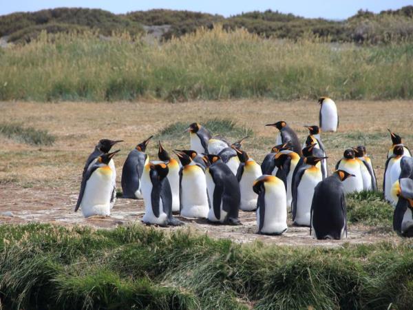 South America overland tour, Quito to Rio