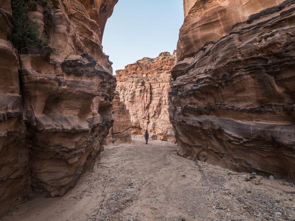 Petra to Wadi Rum trek, 6 days