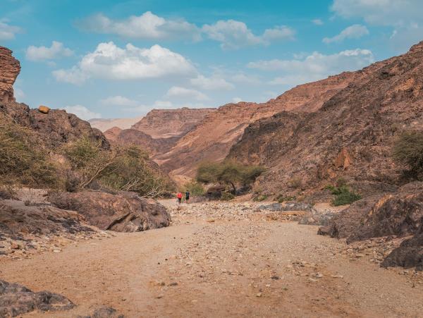 Petra to Wadi Rum trek, 6 days