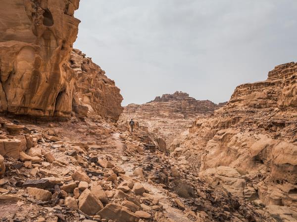 Petra to Wadi Rum trek, 6 days