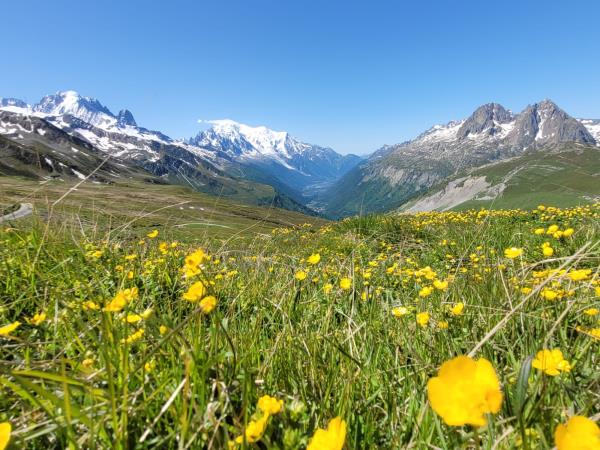 Mont Blanc self guided hiking vaction