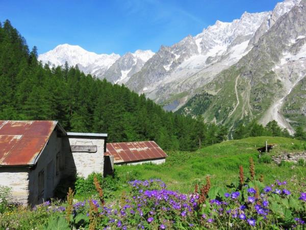 Mont Blanc short guided tour