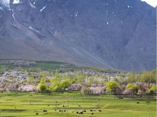 Pakistan small group holiday, Skardu Karakoram