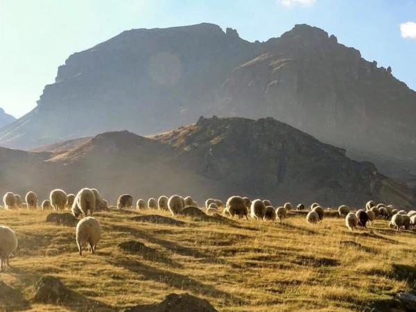 Accursed Mountains walking vacation, Albania