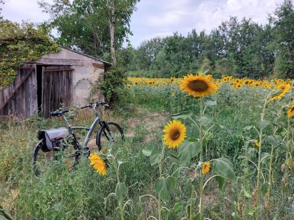 Vegetarian vacations in France