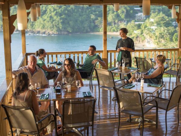 Bird watching vacation in Tobago