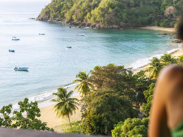 Bird watching vacation in Tobago