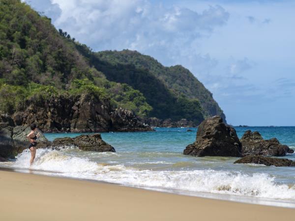 Bird watching vacation in Tobago