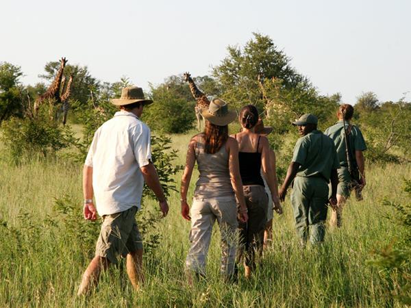 South Africa & Vic Falls active safari vacation