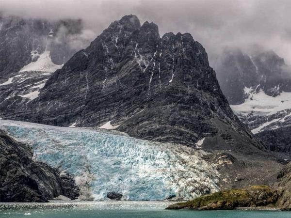 South Georgia wildlife photography tour 